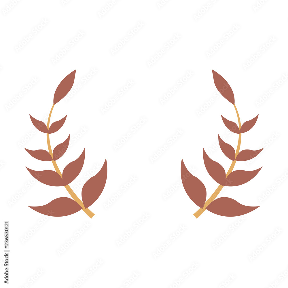 brown branches foliage on white background brown branches foliage on white background
