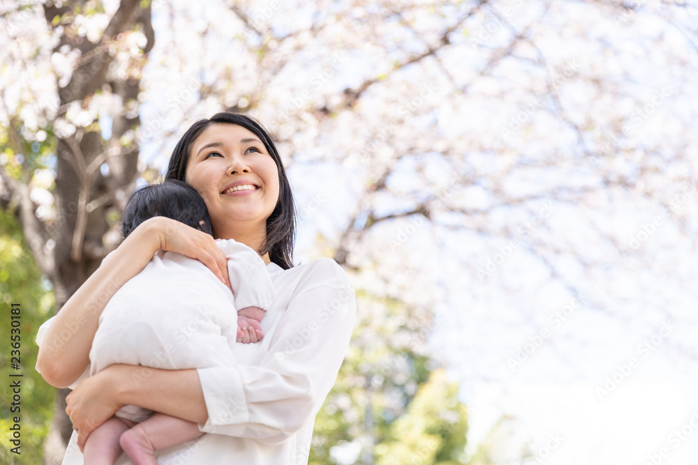 portrait of young asian mother and baby looking cherry blossom portrait of young asian mother and baby looking cherry blossom