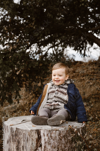 Wonderful baby sitting on stub photo