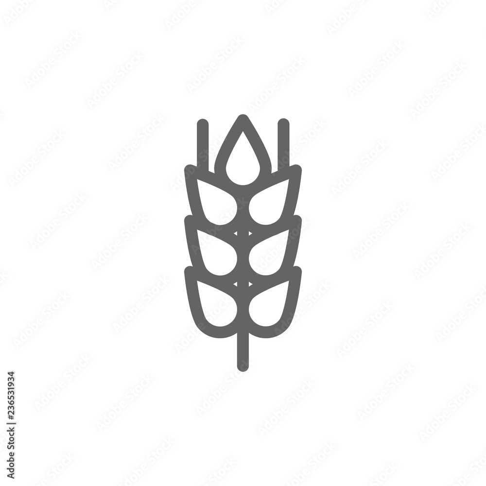 Simple wheat ear and grain line icon. Symbol and sign illustration design. Isolated on white background Simple wheat ear and grain line icon. Symbol and sign illustration design. Isolated on white background