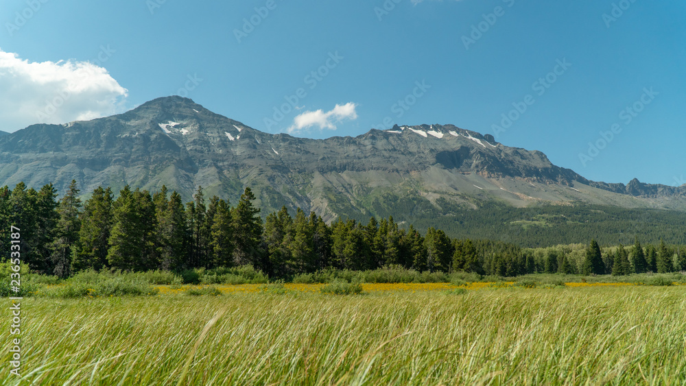 Glacier National Park Landscape 