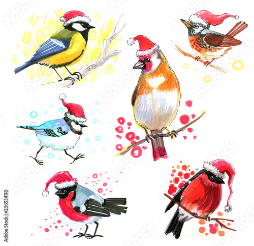 colored birdies in Christmas hats drawn with a marker sketch