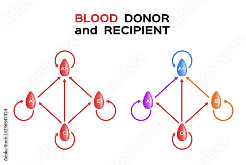 blood donor and recipient vector / types of blood
