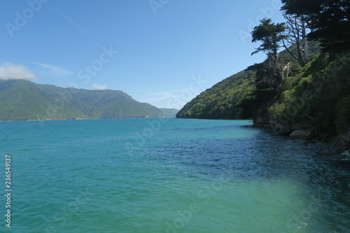 Neuseeland Bucht und Strand mit türkis blauem Wasser