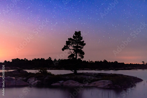 Colorful Silhouette of Lone WInd Swept Pine with Milky Way Galaxy Night Sky on Georgian Bay Island photo