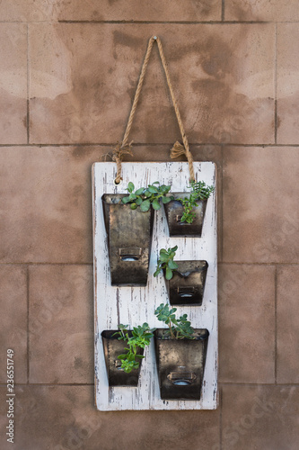 plants in old letterboxes photo