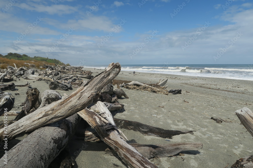 Strand mit Treibholz in Neuseeland