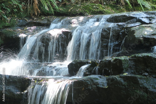 Wasserfall im Urwald