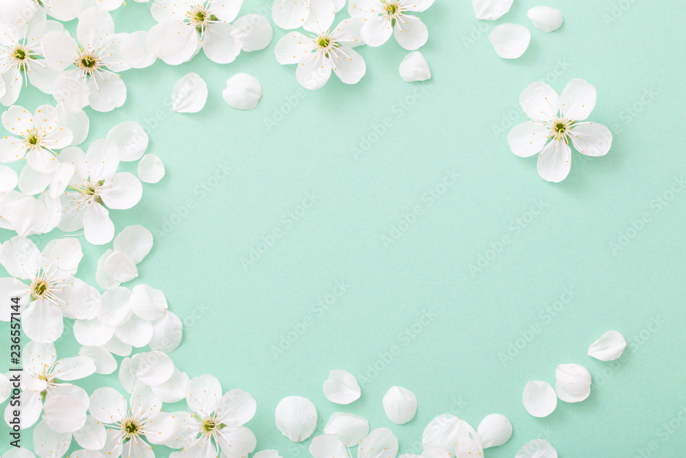 Fototapeta cherry flowers on paper background