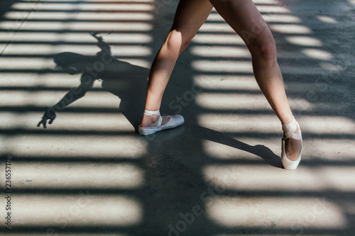 Crop ballerina in dancing shoes