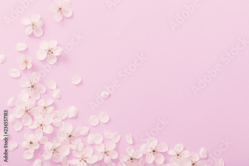 cherry flowers on paper background