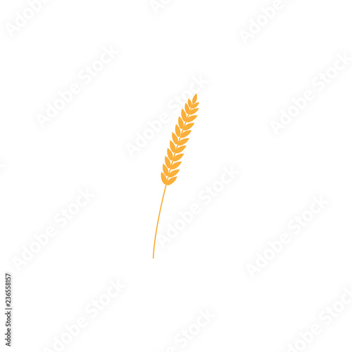 vector illustration of wheat, rye or barley ear with whole grain, yellow wheat, rye or barley crop harvest symbol or icon isolated on white background.