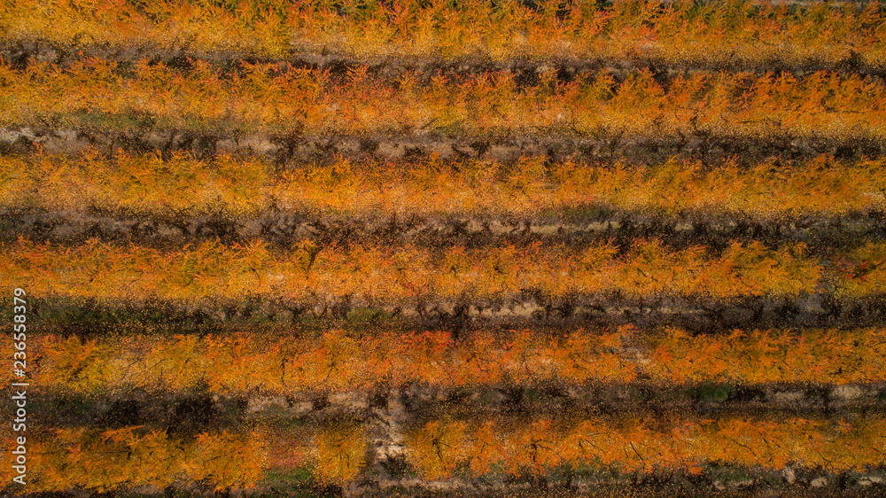 Aerial view of a countryside at autumn season