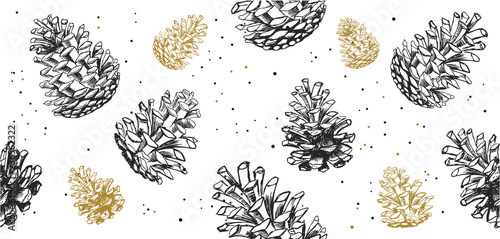 Collection of winter pine cones and acorns. Hand drawn vector illustrations. Christmas set.