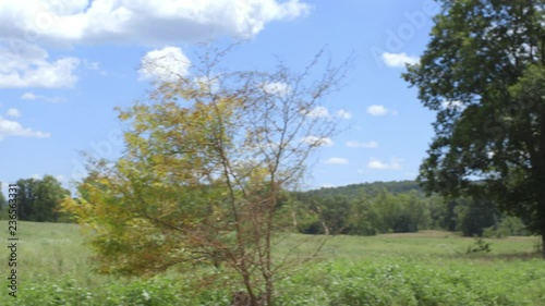 Pan left over countryside to reveal a jeep parked under a large tree photo