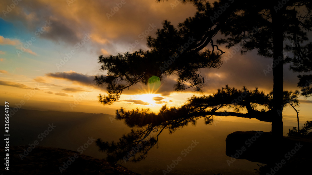 pha lomsak phu kradueng national park loei thailand silhouette tree sunset mountain
