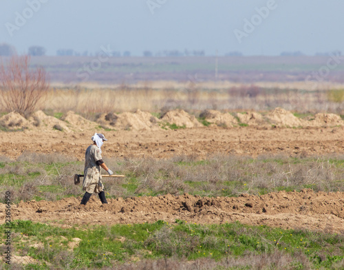 People work in the field in the spring
