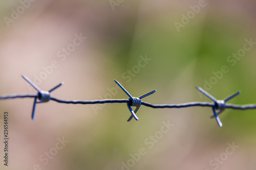 Metal barbed wire on nature as background