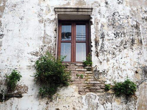 The Old Wooden Window of the Abandoned Building