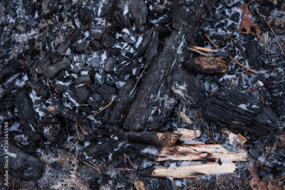 Remains from the fire. Charcoal covered with the first snow. All that remains after the picnic. Remains from the fire. Charcoal covered with the first snow. All that remains after the picnic.