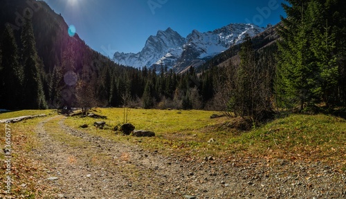 Panoramic view on meadow with yellow grass in meadle of coniferous forest in front of high snow covered mountain range photo
