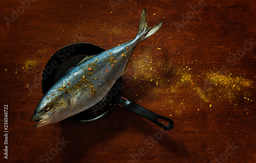 Top view of a big tuna fish oversizing a small frying pan, a view conveying the concept of contrast, greediness, being overambitious, failure to be objective, trying to seize the unseizable. photo