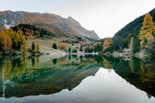 mountain landscape and lake with fall color reflections and yellow larch trees