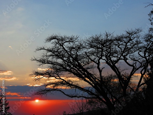 Sunset in Africa with the silhouette of a thorn tree © Johan