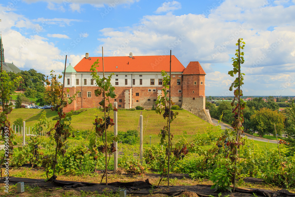 Old castle from 14th century in Sandomierz,
