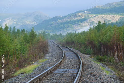Vorkuta-Labytnangi railway section on a sunny August morning. Polar Ural, Russia
