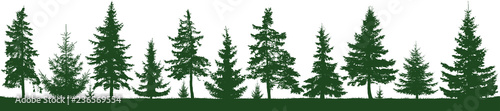 Seamless forest fir trees silhouette. Parkland, park, garden. Isolated, separate objects. Coniferous green spruce. Christmas tree, cedar, fir-tree, pine, pine-tree, Scotch fir. Vector illustration