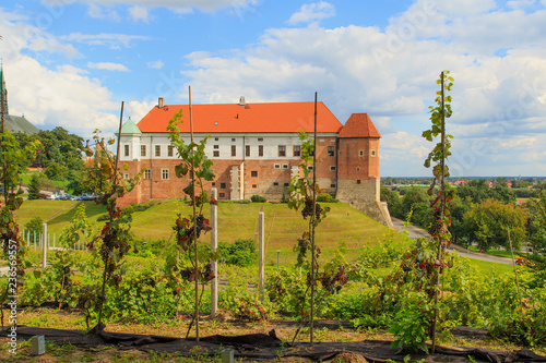 Old castle from 14th century in Sandomierz 