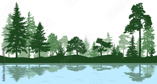 Forest, park, alley. Landscape of isolated trees. Reflection of trees in the water. Silhouette vector