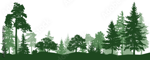 Forest, park, alley. Landscape of isolated trees. Silhouette vector