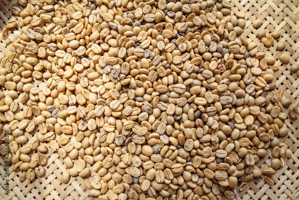 unroasted or green coffee beans background unroasted or green coffee beans background