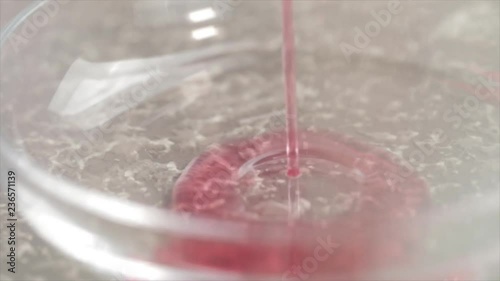 Liquid Red Jelly is Poured into a Glass Bowl, Extreme Closeup