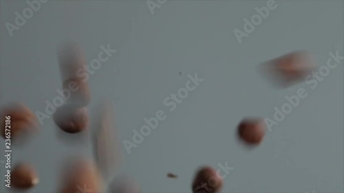 Hazelnuts Falling Down and Jumping Back High