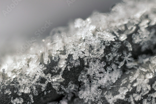 winter snowflakes macro © Lifefoto