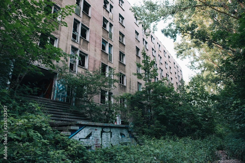 Overgrown garden outside abandoned building Overgrown garden outside abandoned building