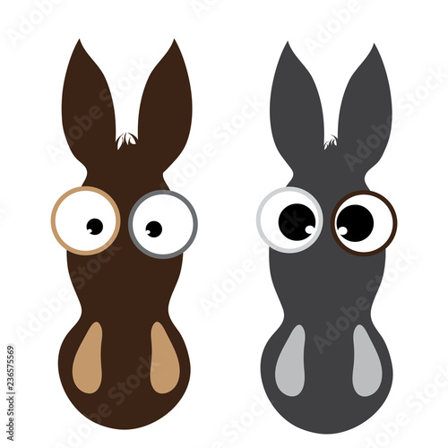 Vector illustration of horse head on white background.