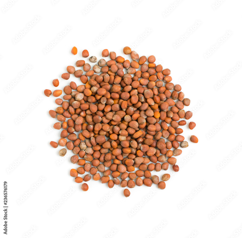 Bunch of dry raw radish seeds isolated on white background
