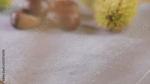 Peeled and Unpeeled Chestnuts Lying on a Stone Board, Camera Circles the Scene, Blurry, Soft Focus