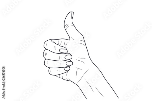 sketch illustration - women's hand.