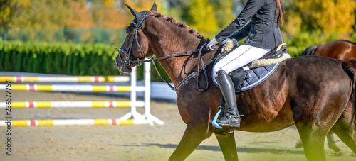 Piękna dziewczyna na szczawiu w skokach Pokaż, sporty jeździeckie. Jasnobrązowy koń i dziewczyna w mundurze skaczą. Poziomy projekt nagłówka lub banera. Skopiuj miejsce na tekst.