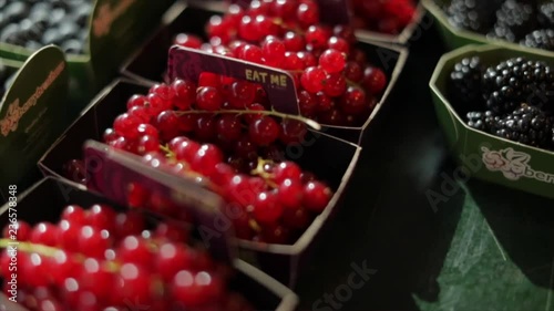 A handheld shot of red currants and bramble fruits, Closeup
