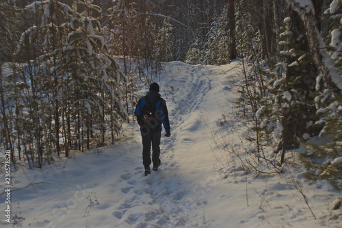 walking in winter forest