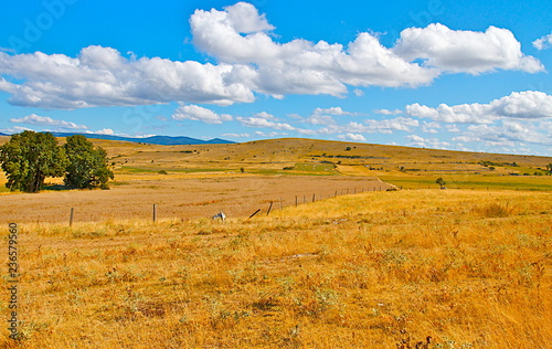 CAUSSES PAYSAGES