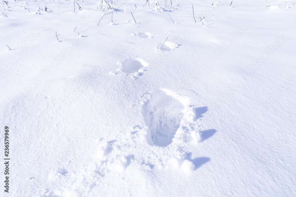 Footprint and hands on snow