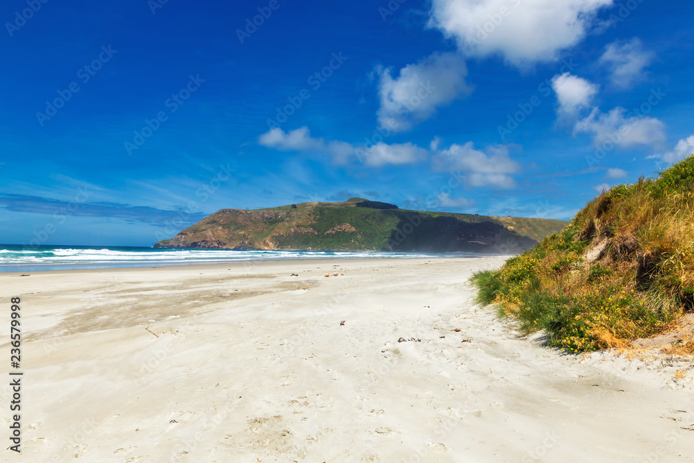 Big empty Allans beach near Dunedin, New Zealand Big empty Allans beach near Dunedin, New Zealand