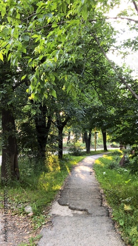 path in the park